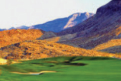 Bear's Best Las Vegas