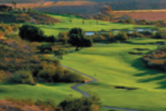 The Palms Golf Club
