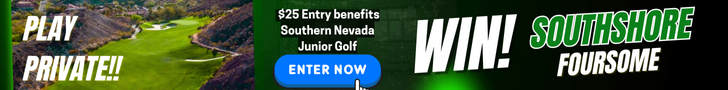 https://snga.org/wp-content/uploads/Copy-of-Copy-of-southshore-SNGA-website.png