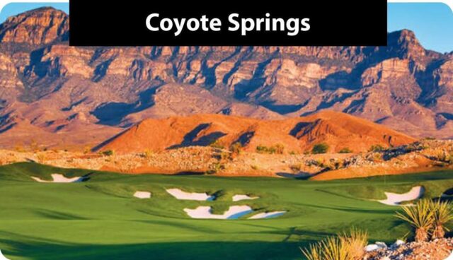 https://snga.org/wp-content/uploads/Coyote-Spring-640x368.jpg